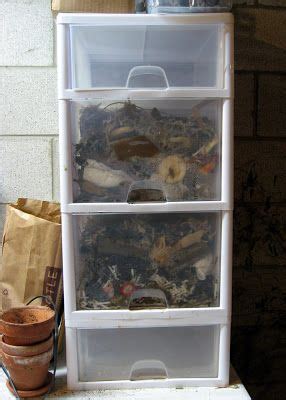 You will need the following items to build your own worm compost bin: Worm bin made from plastic drawers. | Worm composting