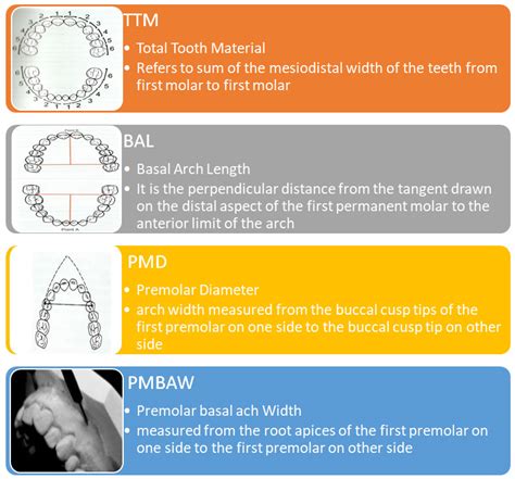 Model Analysis In Orthodontics Focus Dentistry