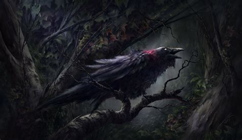 Animal Raven Hd Wallpaper By Julian Bauer