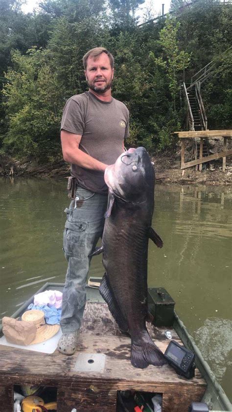Catch points — and trap points are types of turnout which act as railway safety devices. Georgia man breaks state record for catching largest blue ...
