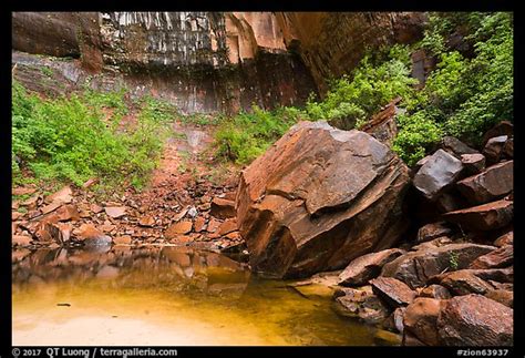 picture photo upper emerald pool zion national park