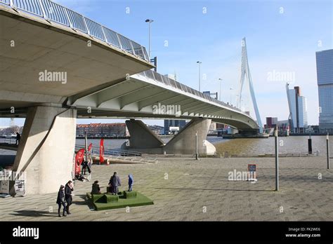 Iconic Erasmus Bridge Erasmusbrug Rotterdam Netherlands Designed