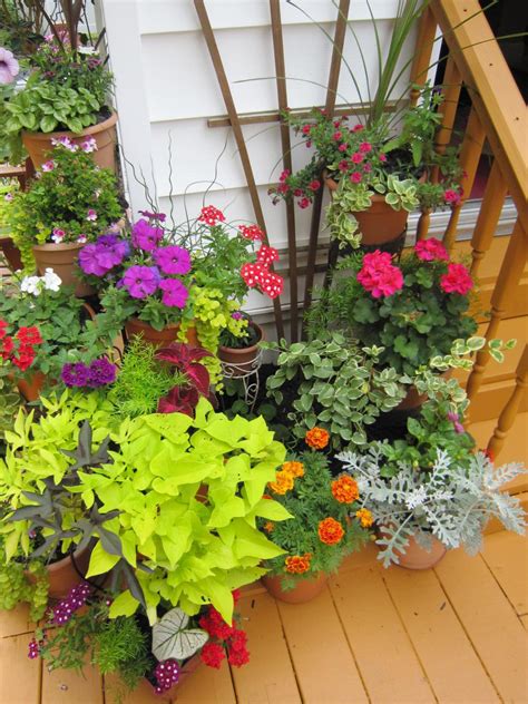 Plantscaping A Deck Or Patio Hgtv