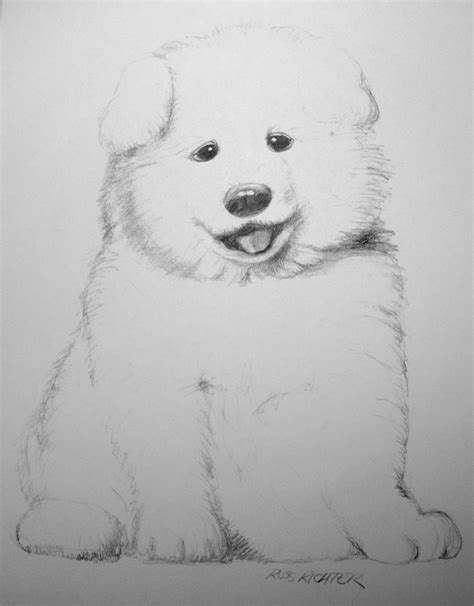 Puppy1 Pencil Drawing I Did For The Heck Of It Pencil Drawings