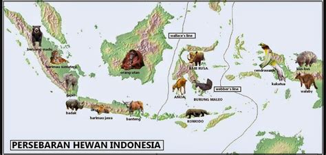 Gambar Peta Indonesia Flora Dan Fauna