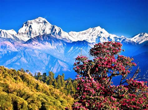 Beautiful Scenes Free Download Beautiful Places To Visit Nepal