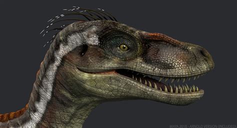 Buy Velociraptor Rigged Fully Rigged 3d Models Online