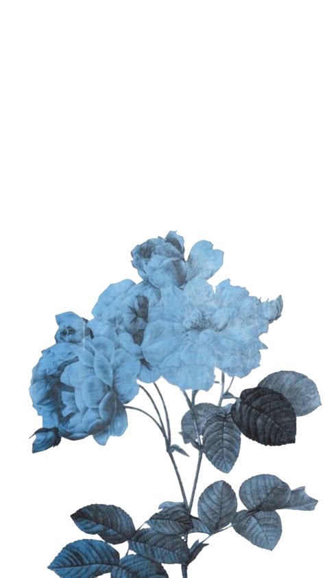 Blue Aesthetic Transparent PNG All PNG All