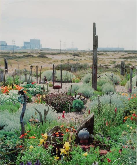 Derek Jarmans Garden Prospect Cottage Dungeness Kent Via Garden Museum And The Derek Jarman