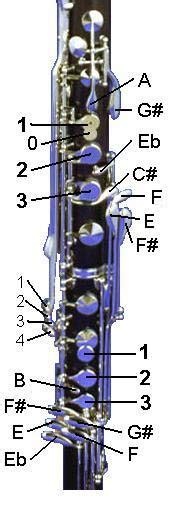 Bb Bass Clarinet Key Diagram