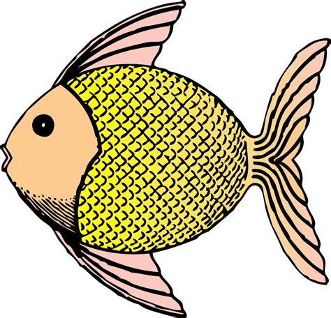 Free Clip Art Tropical Fish By Johnnyautomatic