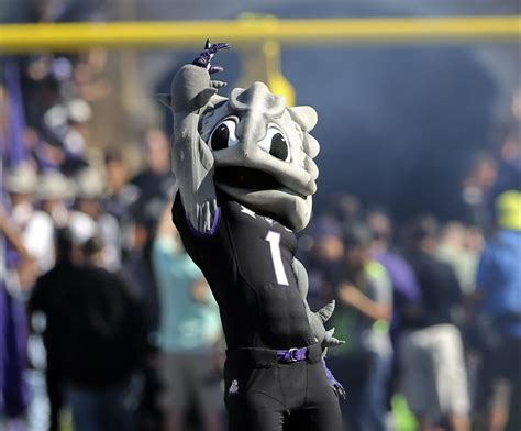 Ranking Big 12 Mascots After College Conference Expansion With Pac 12