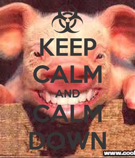 Keep Calm And Calm Down Keep Calm And Carry On Image