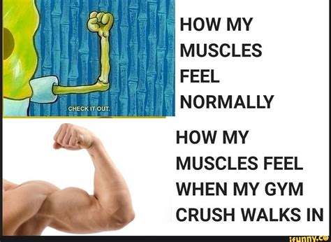 How My Muscles Feel Normally How My Muscles Feel When My Gym Crush