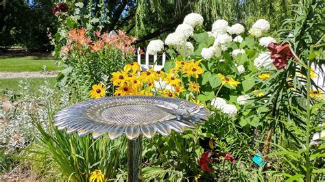 Designing A Songbird Garden Finegardening