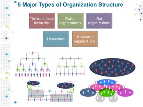 Organization Design And Structure