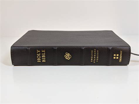 The Crossway Buffalo Leather Large Print Compact Bible Review — Cam Hyde