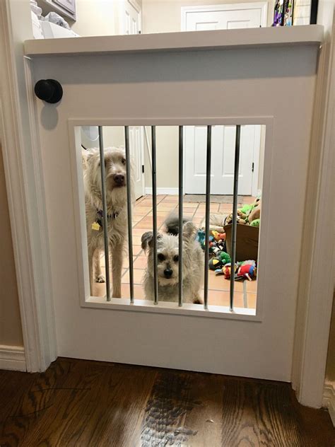 Interior Door With Dog Door Benefits And Advantages Interior Ideas