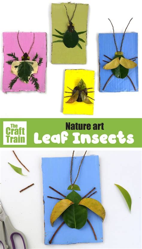 Nature Bugs Nature Crafts Kids Eco Crafts Insect Crafts