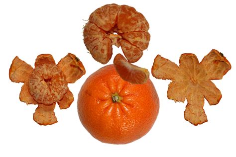 Tangerine Png Photo Png Mart