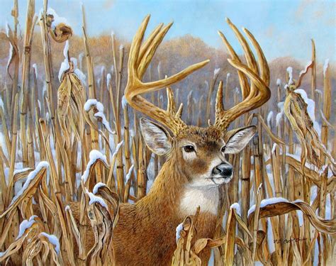 Carol Decker Wildlife Art Studio Deer Painting Deer Artwork