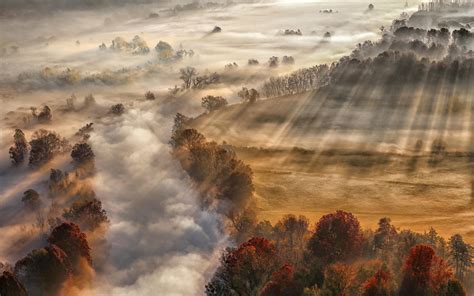 Morning Sun Rays With Fog Wallpaper 30 Wallpapers Adorable Wallpapers