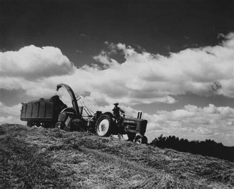 Haying Photograph Wisconsin Historical Society