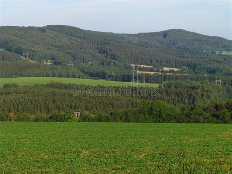 Rural Hilly Landscape Country With Green Meadow In Summer Forest
