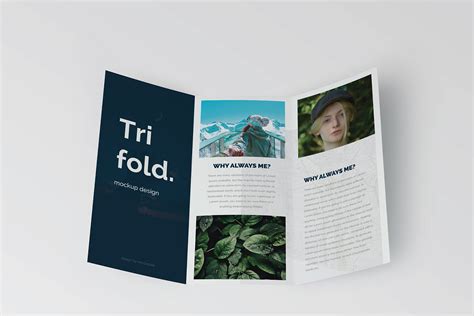 trifold brochure mock     mockup