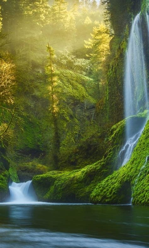 Green And Black Covered Mountains And Waterfalls Near Trees During