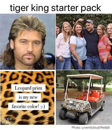 A Collection Of The Very Best Netflix S Tiger King Memes