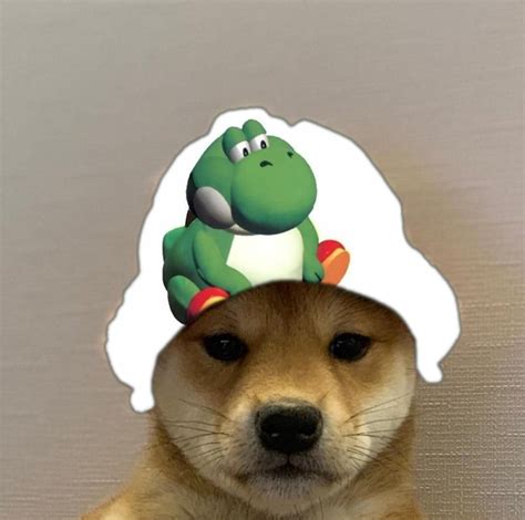 Dogwifhat Collection By Cr1ms1c Dogwifhat Know Your Meme Doge