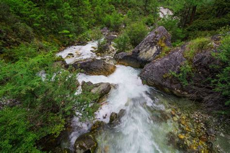 Stream Flows Through The Wilderness Stock Photo Image Of Wilderness