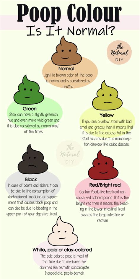 Poop Color What They Mean The Natural Diy