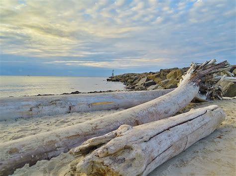 1920x1080px 1080p Free Download Beach And Driftwood Montauk