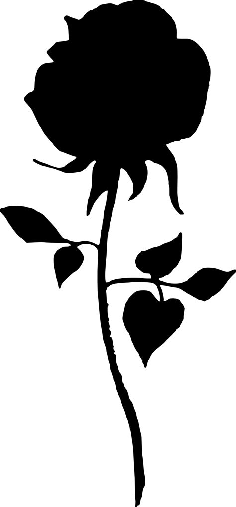 17 Rose Silhouette Png Transparent