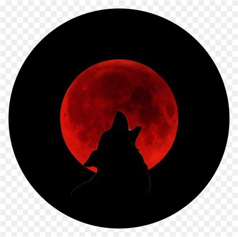 Freetoedit Wolf Howl Bloodmoon Blood Moon Wolf Howling At The Moon