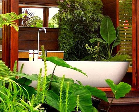 Baie Tropicala Cu Plante Ornamentale Idei Design Interior