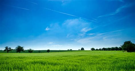 Panoramic Photography Of Green Field Background Wallpaper Computer