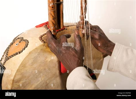 Kora Instrument African Musical String Instrument Stock Photo Alamy