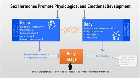 Puberty Body Image And Eating Disorders Nutrition Through The Life Cycle