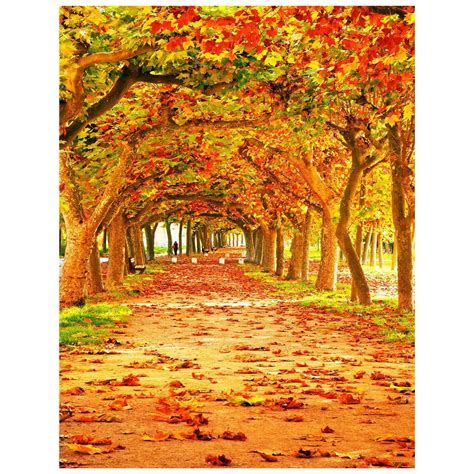 3x5ft Yellow Natural Scenic Photography Backdrops Autumn Backdrop ...