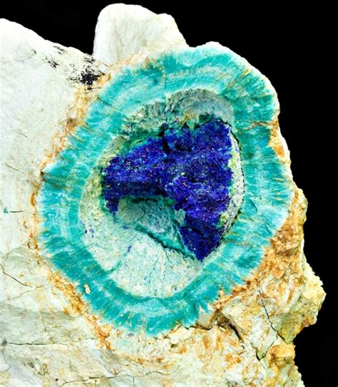 Azurite With Chrysocolla Minerals For Sale 1501808