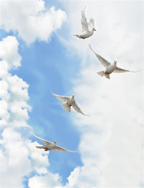 Un Grupo De Palomas Blancas Volando En El Cielo Foto Premium