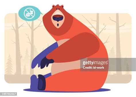 skinny bears photos and premium high res pictures getty images