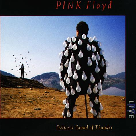 Sintético 91 Foto Pink Floyd Delicate Sound Of Thunder Actualizar