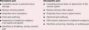 Nociceptive Versus Neuropathic Download Table