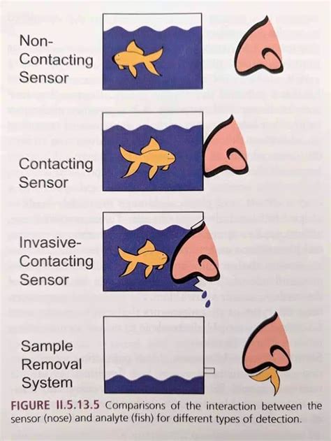 40 Of The Most Ridiculous Scientific Diagrams Youll See That Beg The