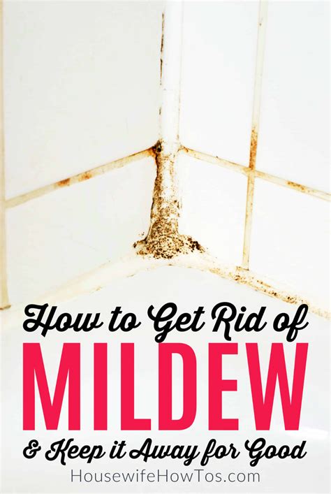 How To Get Rid Of Mildew And Keep It From Returning Cleaning Hacks Mildew Remover Spring