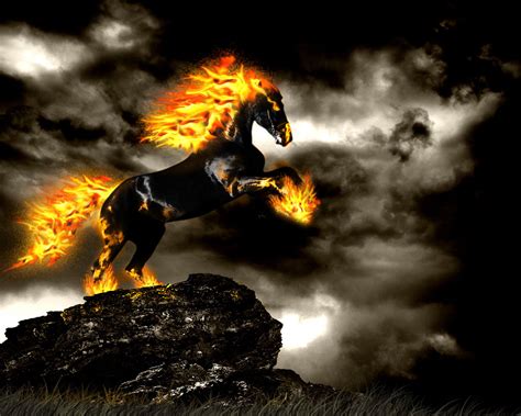 Fire Horse Wallpaper Hd Wallpapersafari